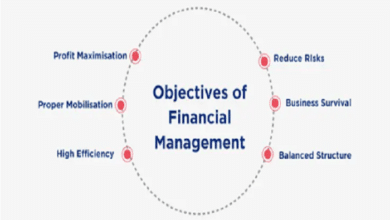 Financial Objectives