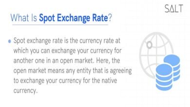 Spot Exchange Rate